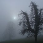 Nebel