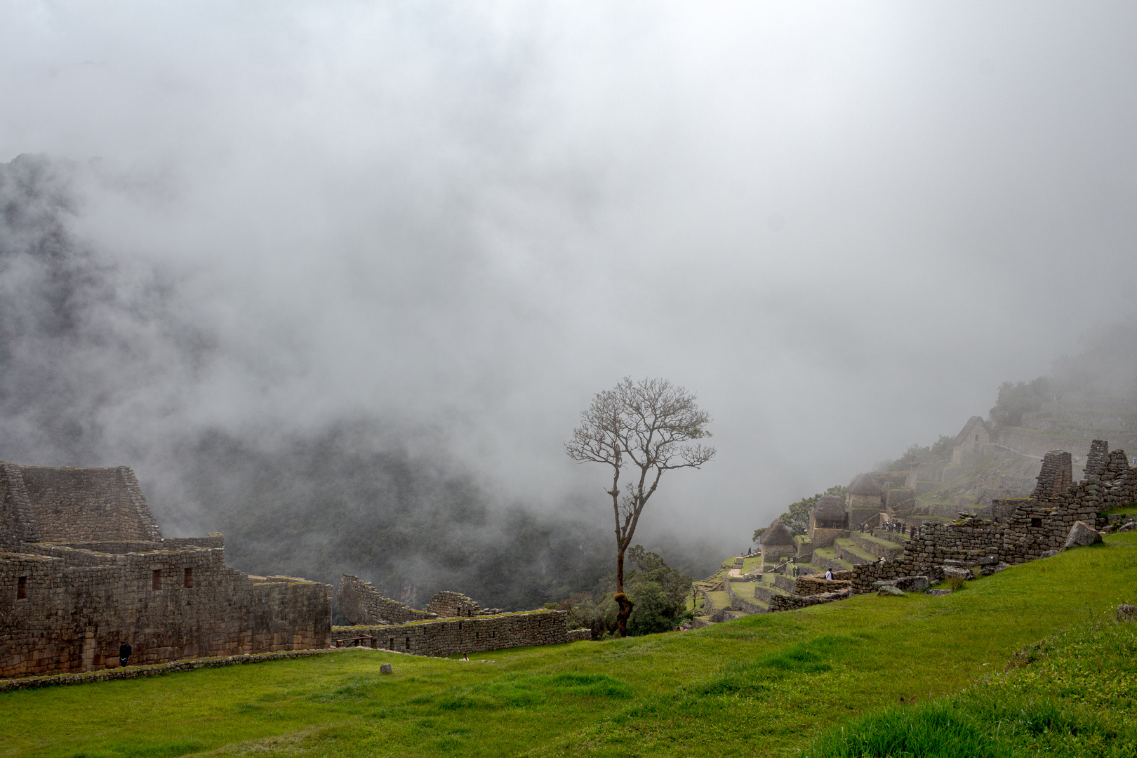 Nebel