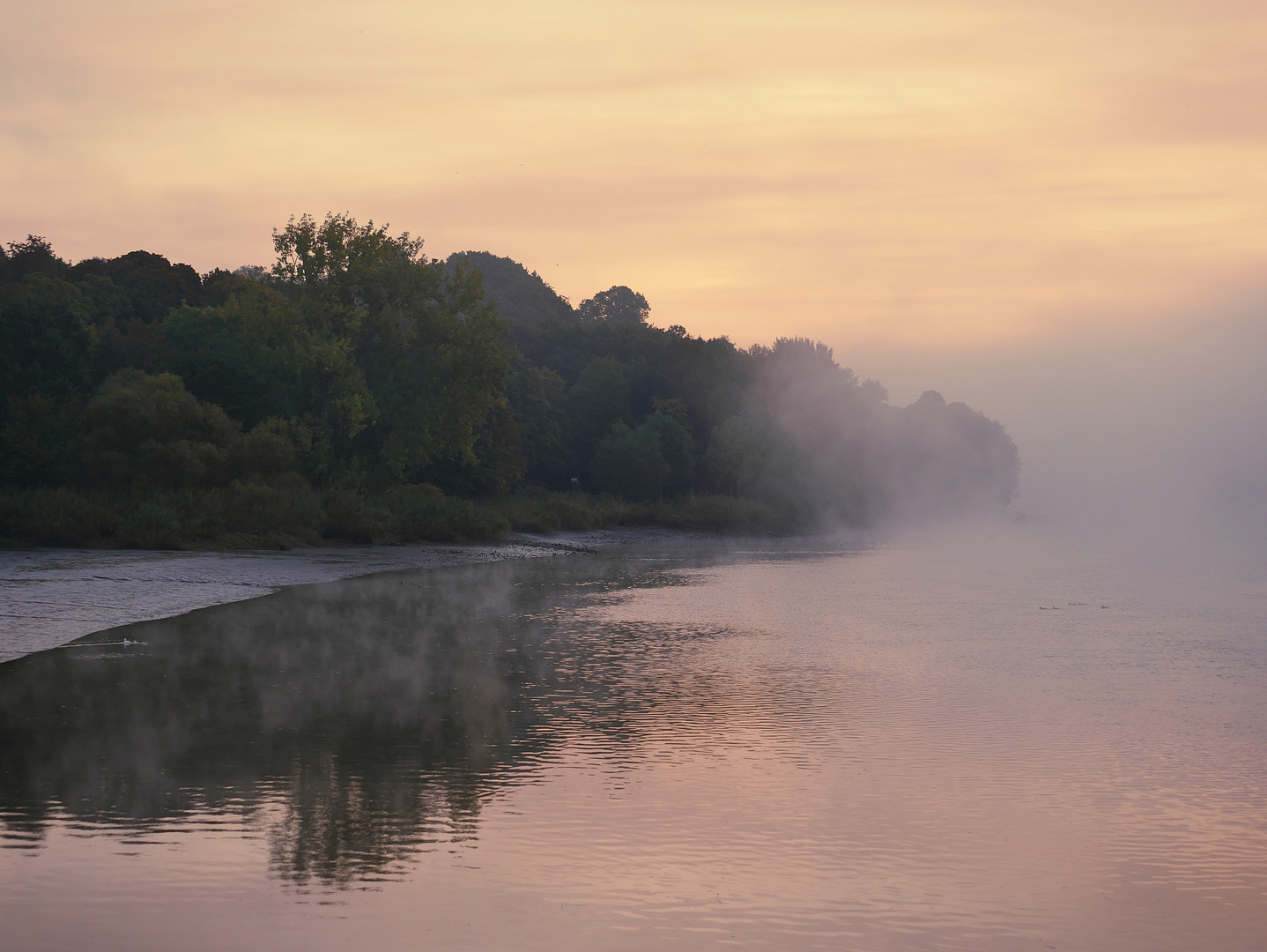 Nebel...