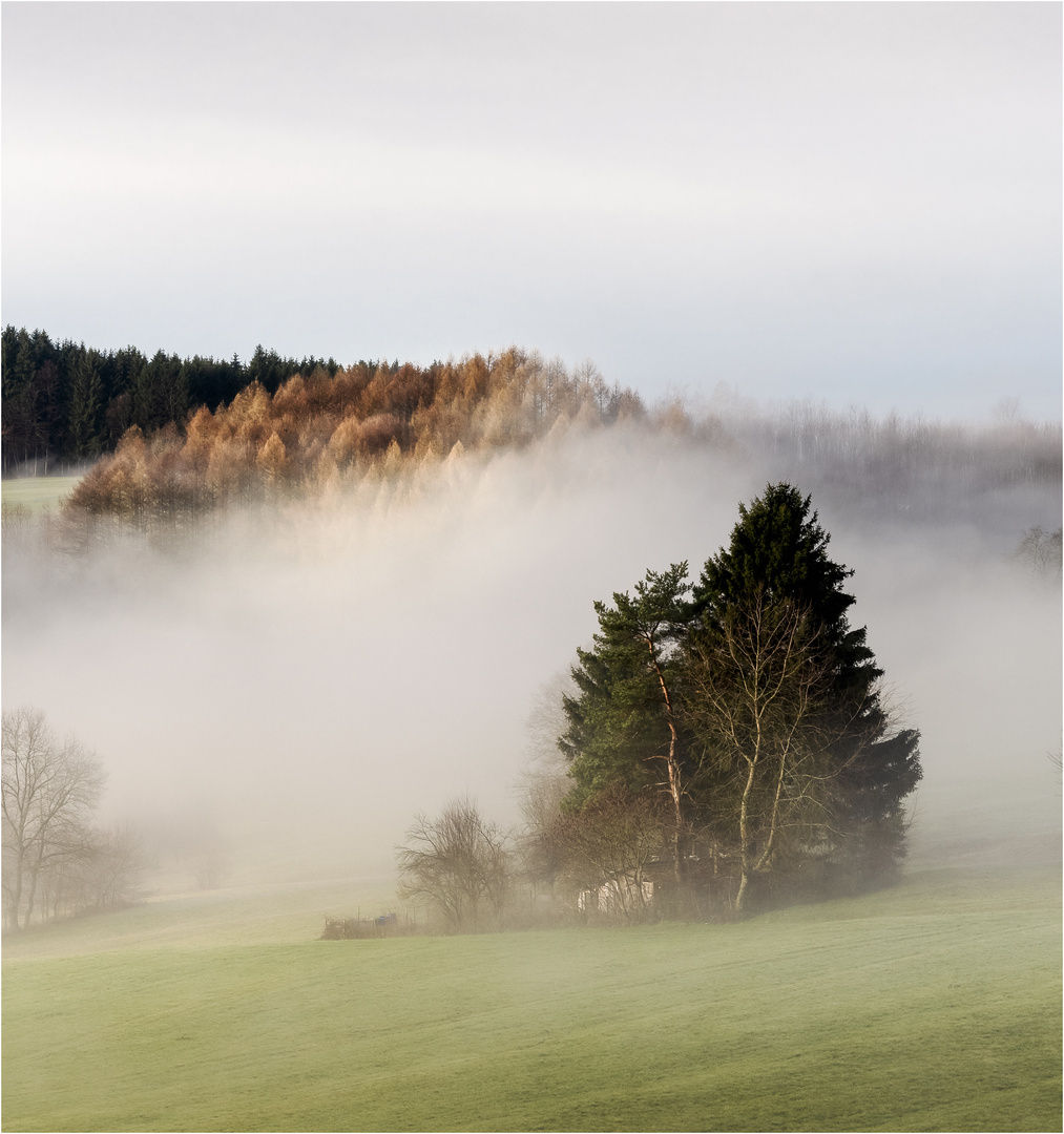 Nebel Farben.