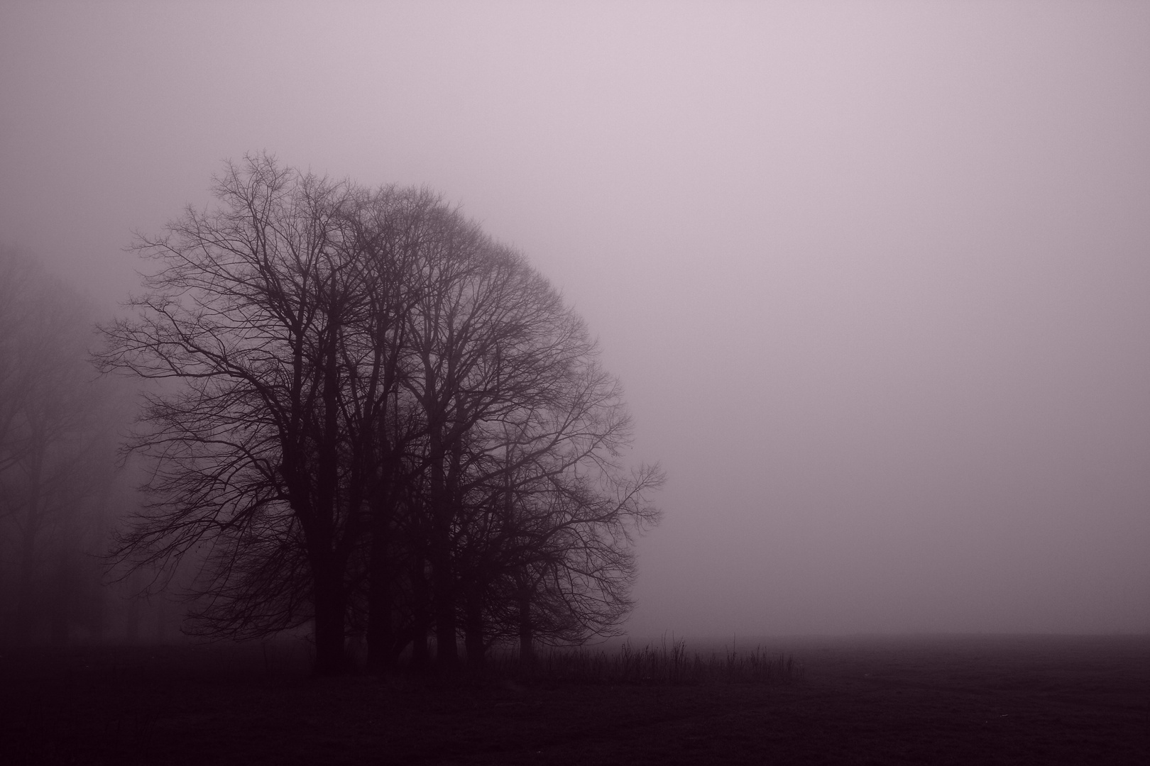 Nebel