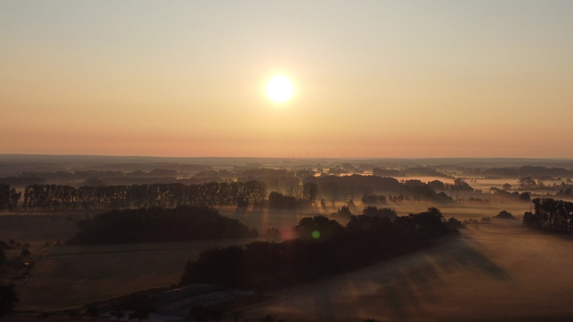 Nebel-Felder