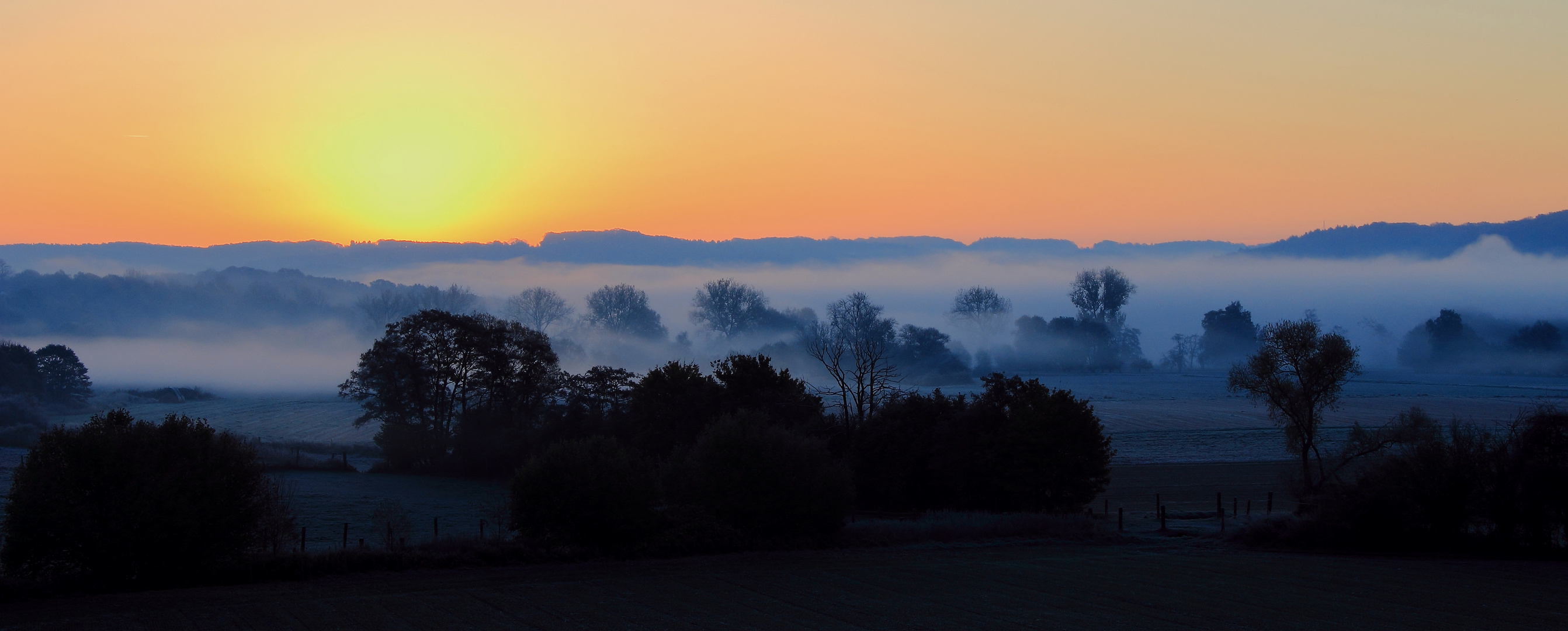 Nebel-Felder