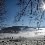 Nebel fliesst über den Albis