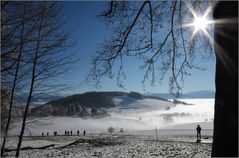 Nebel fliesst über den Albis