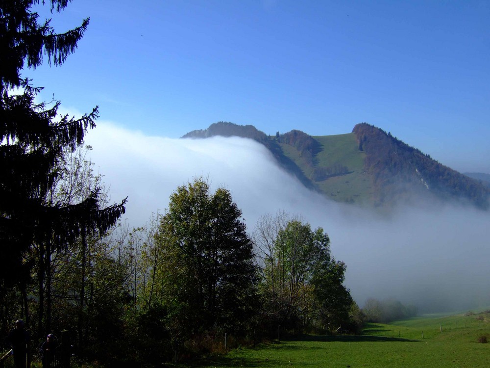 Nebel fliesst über Hügelgrat