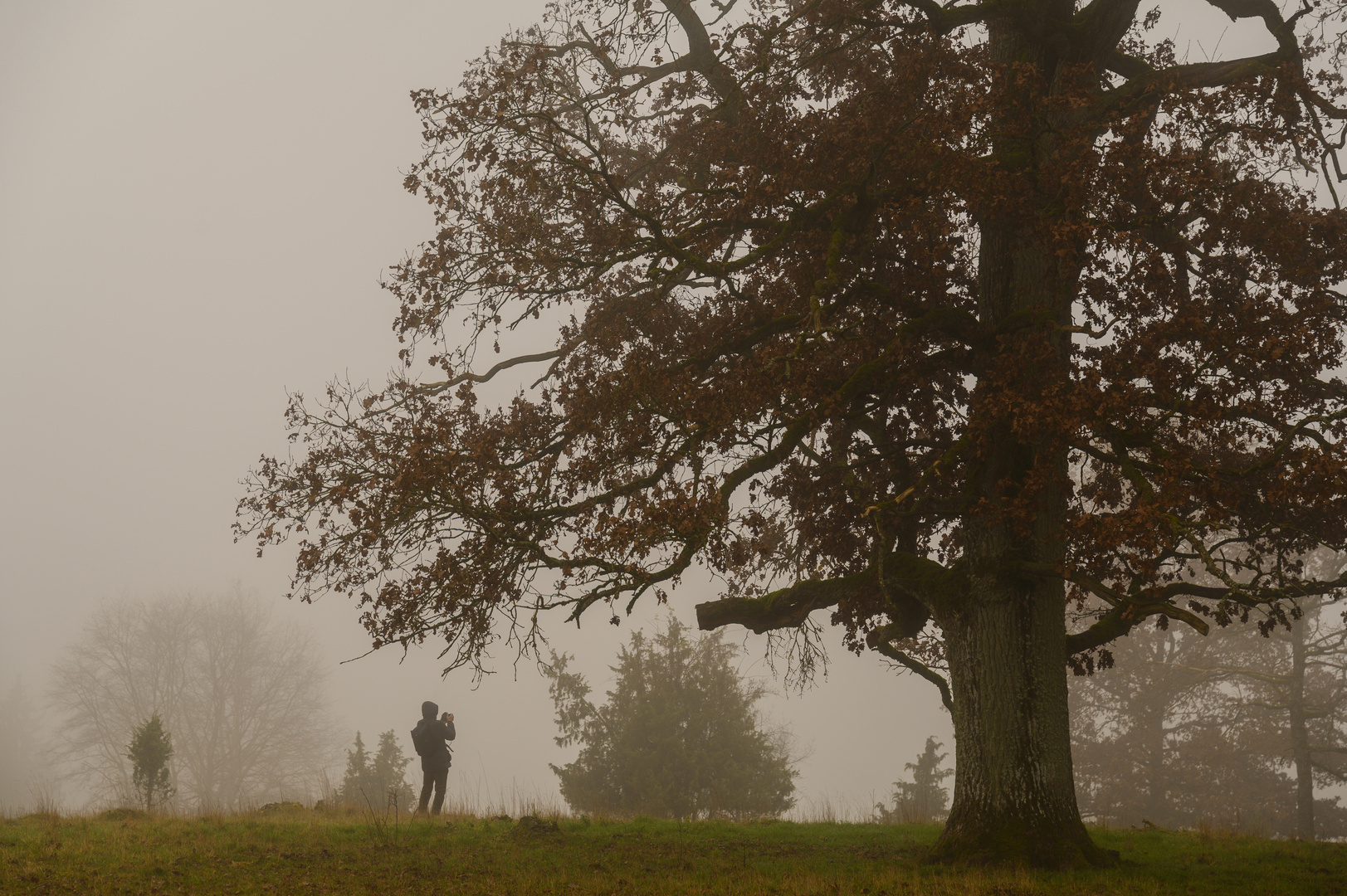 Nebel-Fotograf