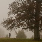 Nebel-Fotograf