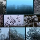 Nebel Fotos & Stimmungslage