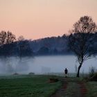 "Nebel-Früh-Jogger", Aßlinger Filze, 03.04.2011