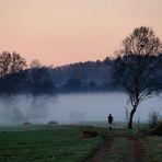 "Nebel-Früh-Jogger", Aßlinger Filze, 03.04.2011