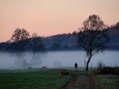 "Nebel-Früh-Jogger", Aßlinger Filze, 03.04.2011