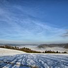 Nebel füllt das Tal einer Winterlandschaft