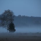 Nebel gegen Abend