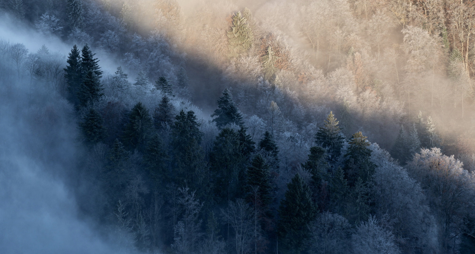 Nebel gegen Licht!