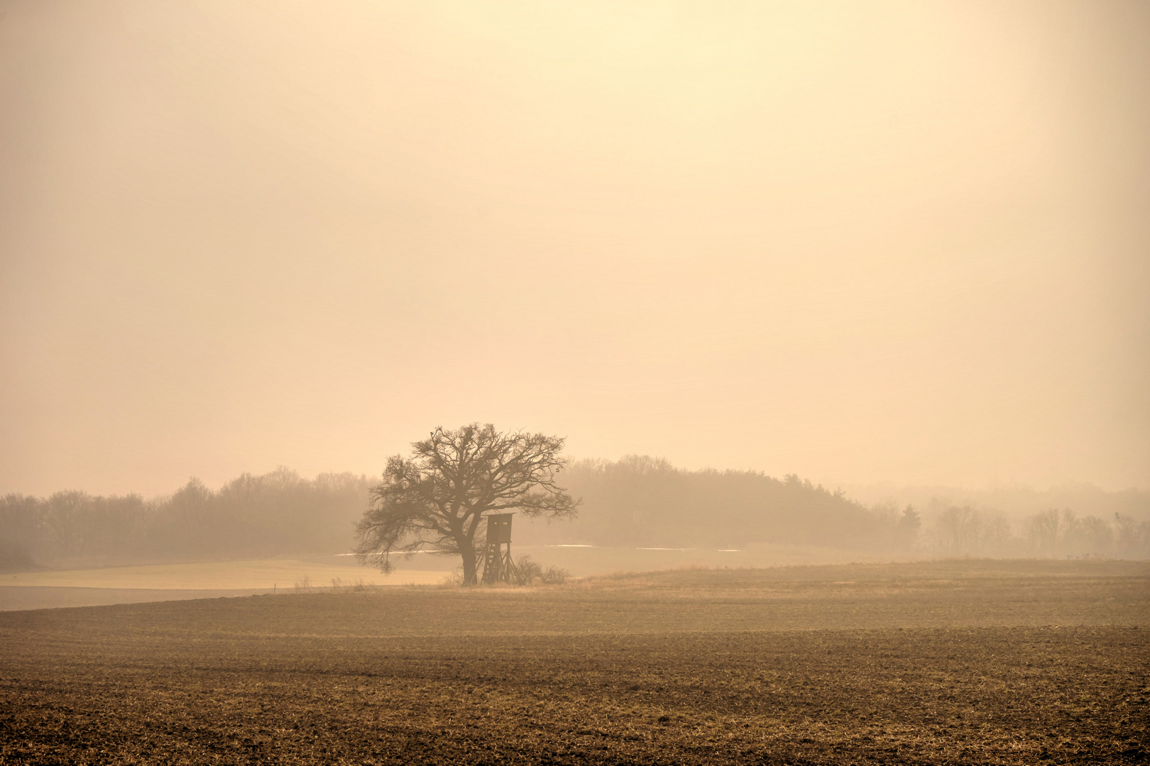 Nebel gegen Sonne