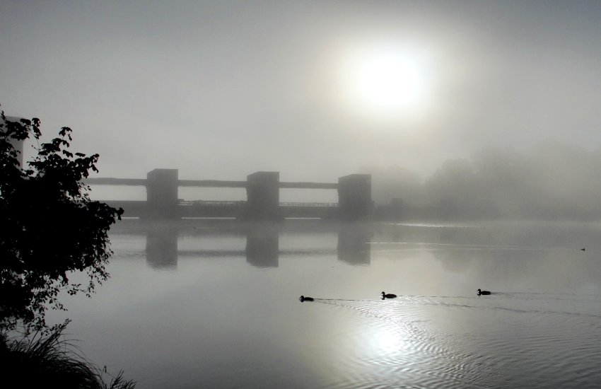 "Nebel-Gegenlicht-Schemen"