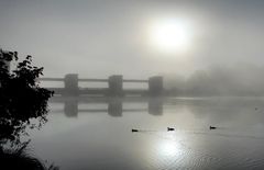 "Nebel-Gegenlicht-Schemen"