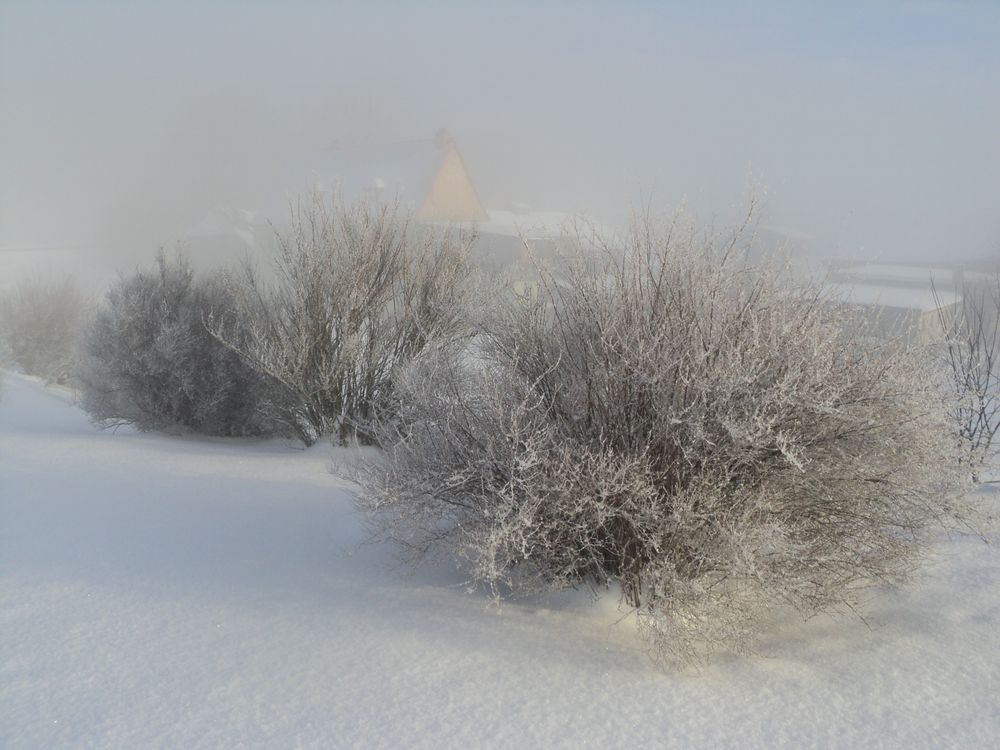 """""""Nebel geht -Sonne kommt""""""