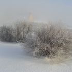 """""""Nebel geht -Sonne kommt""""""