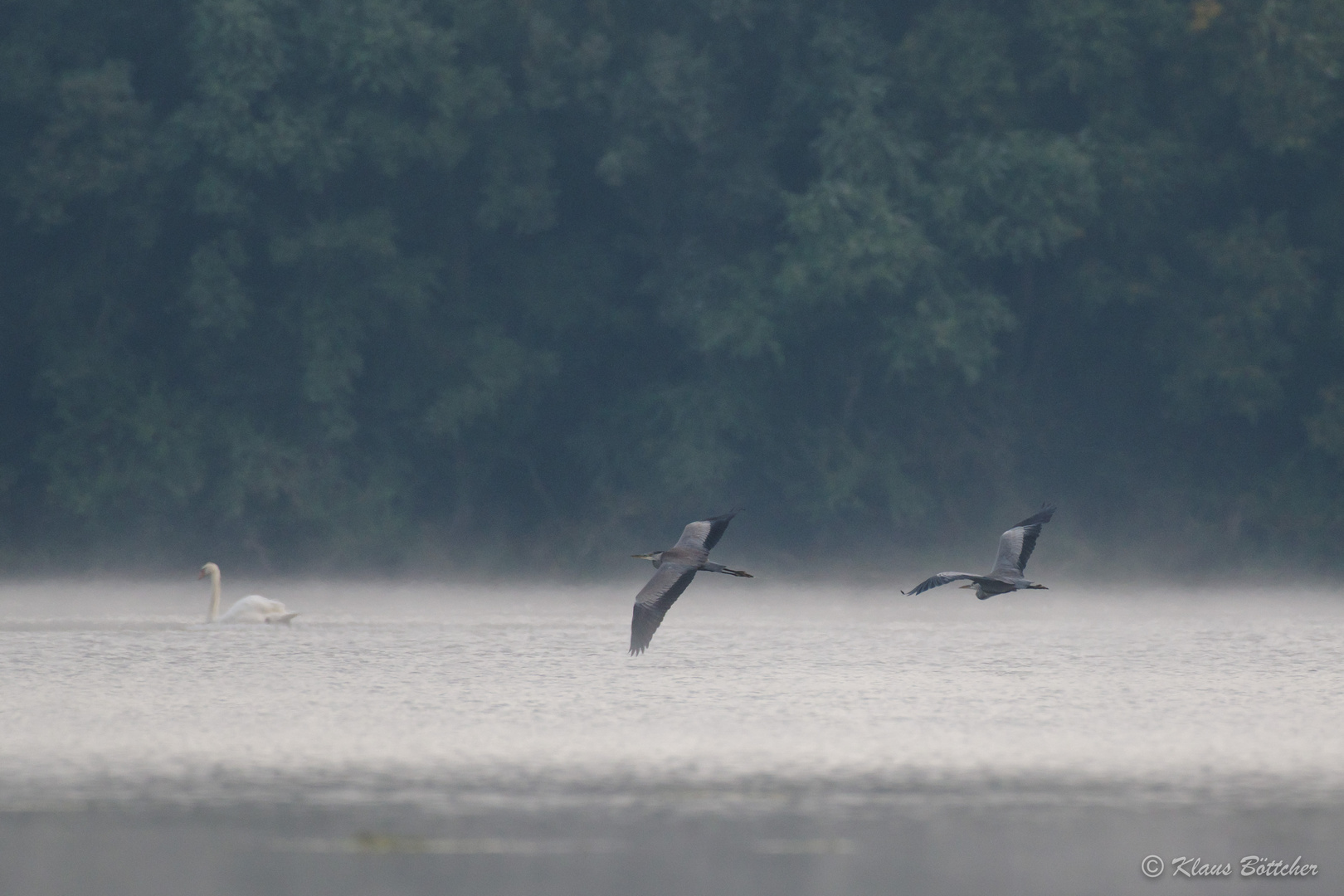 Nebel-Geister über dem Wasser