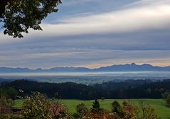 Nebel, graue Nebel