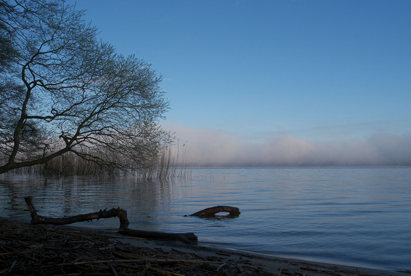 Nebel hängt über dem See