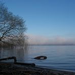 Nebel hängt über dem See