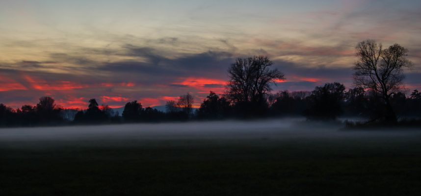 Nebel hat auch was !