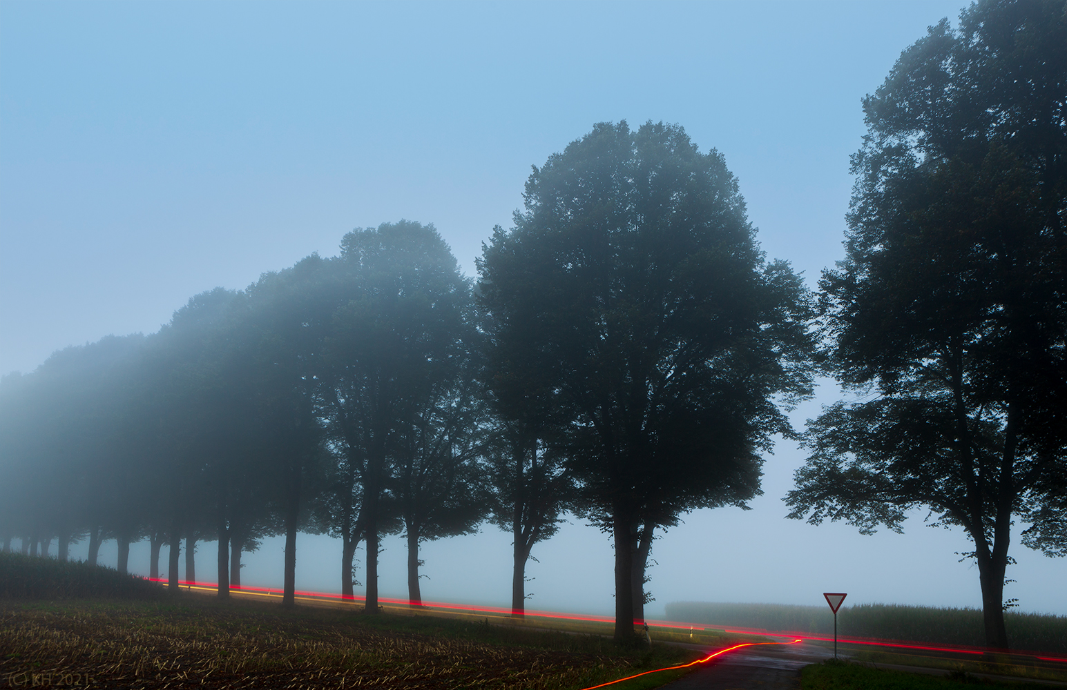 Nebel hat viele Gesichter: Rechts vor links