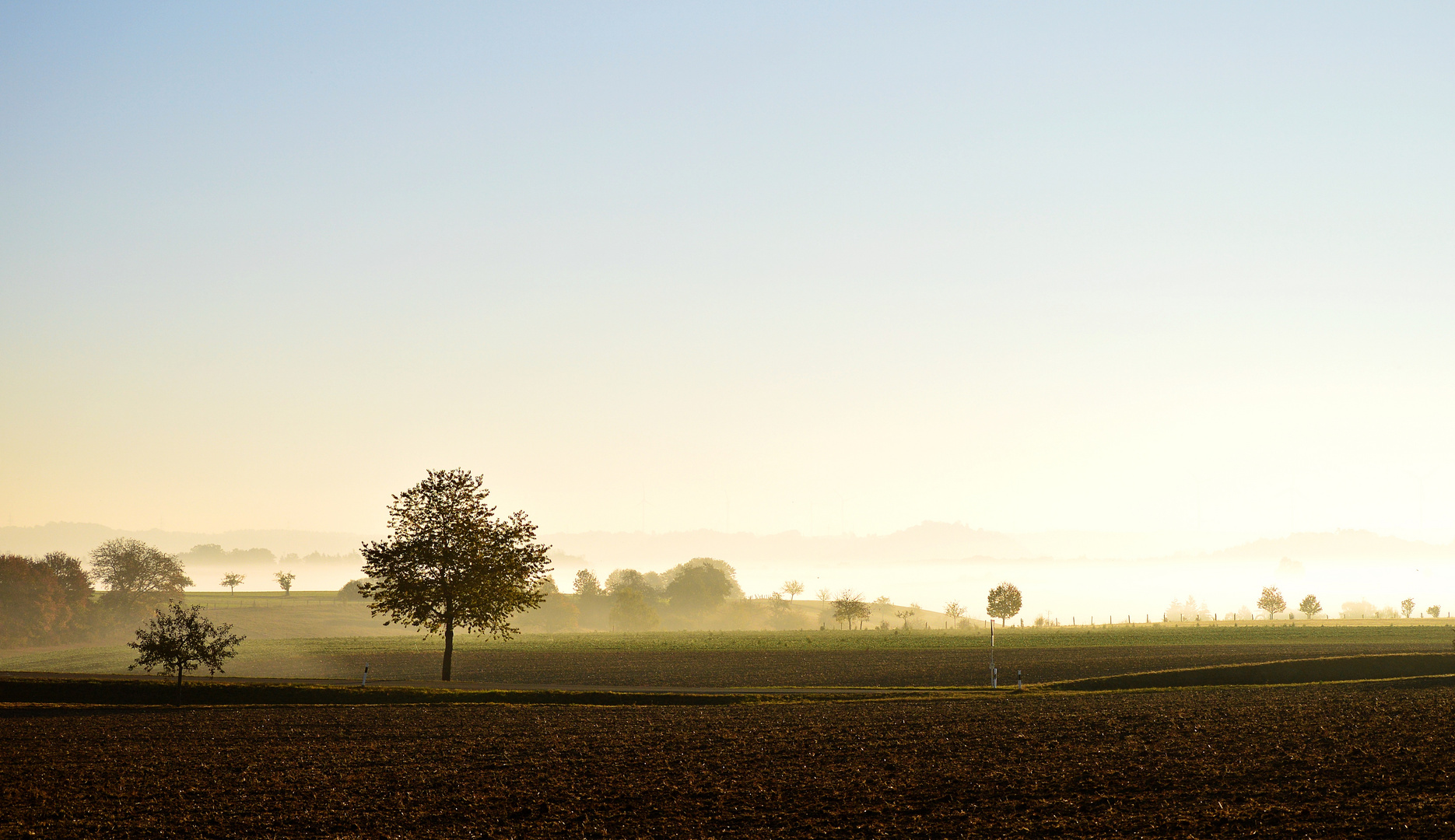 Nebel heißt Rückwärts Leben...  