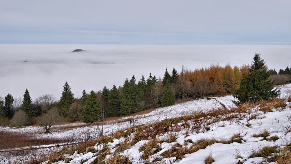 Nebel, Herbst, und Winter....