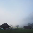 nebel herrscht vor