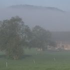 Nebel-Hof