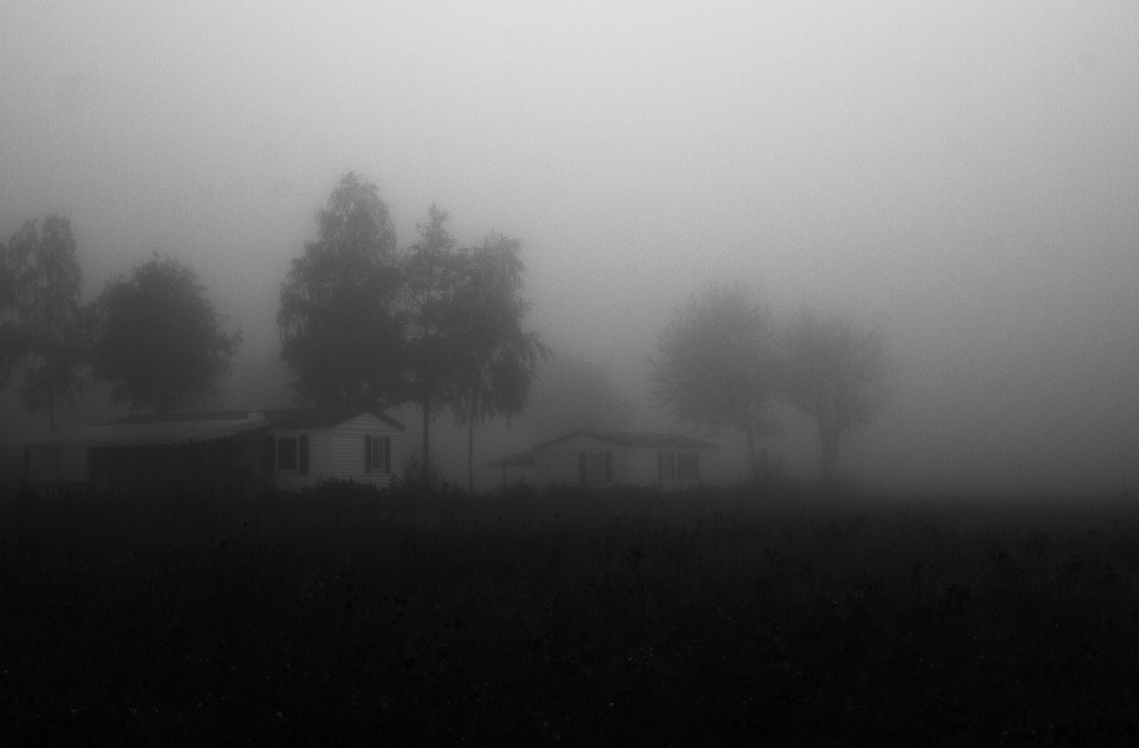 Nebel I