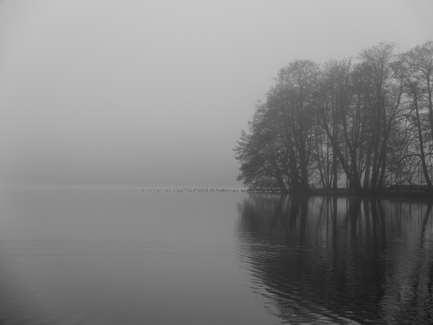 Nebel II