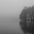 Nebel II