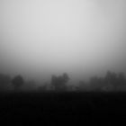 Nebel II