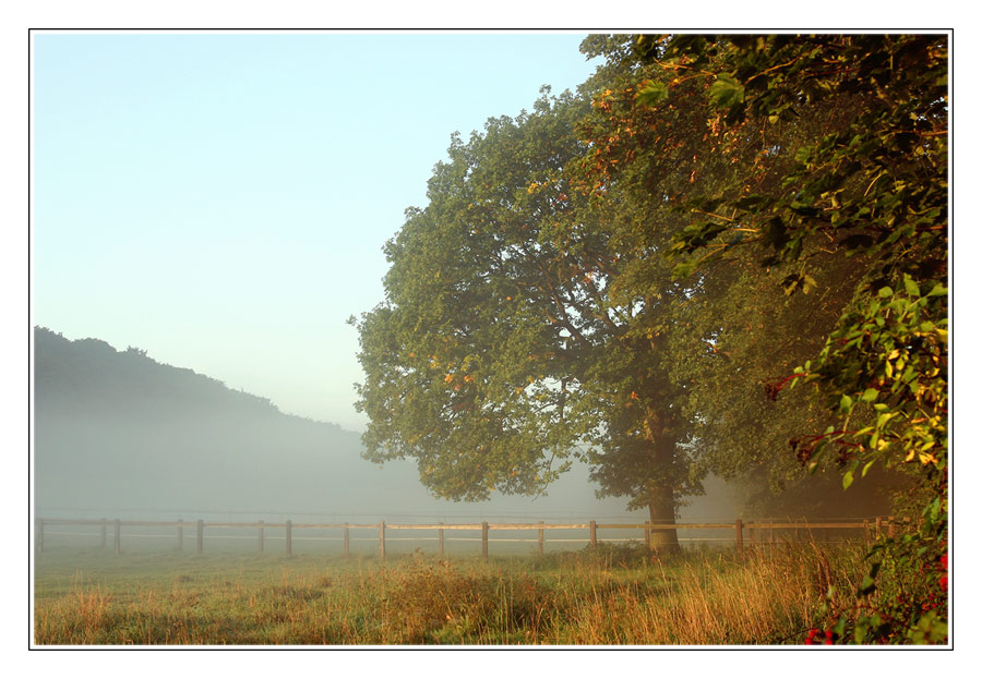 Nebel III im Ruhrgebiet