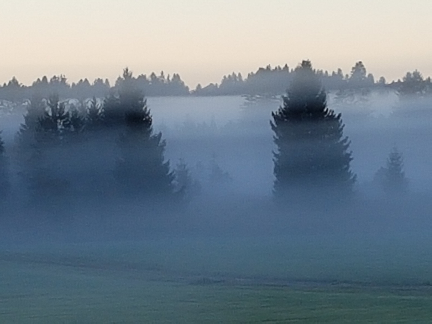 Nebel im Allgäu