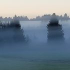 Nebel im Allgäu