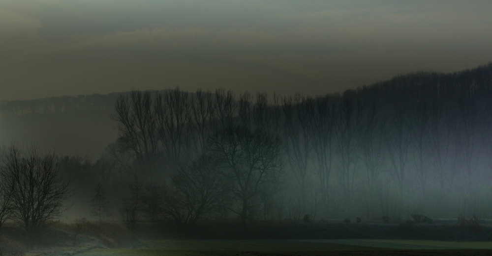 Nebel im April