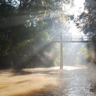 Nebel im argentinischen Delta