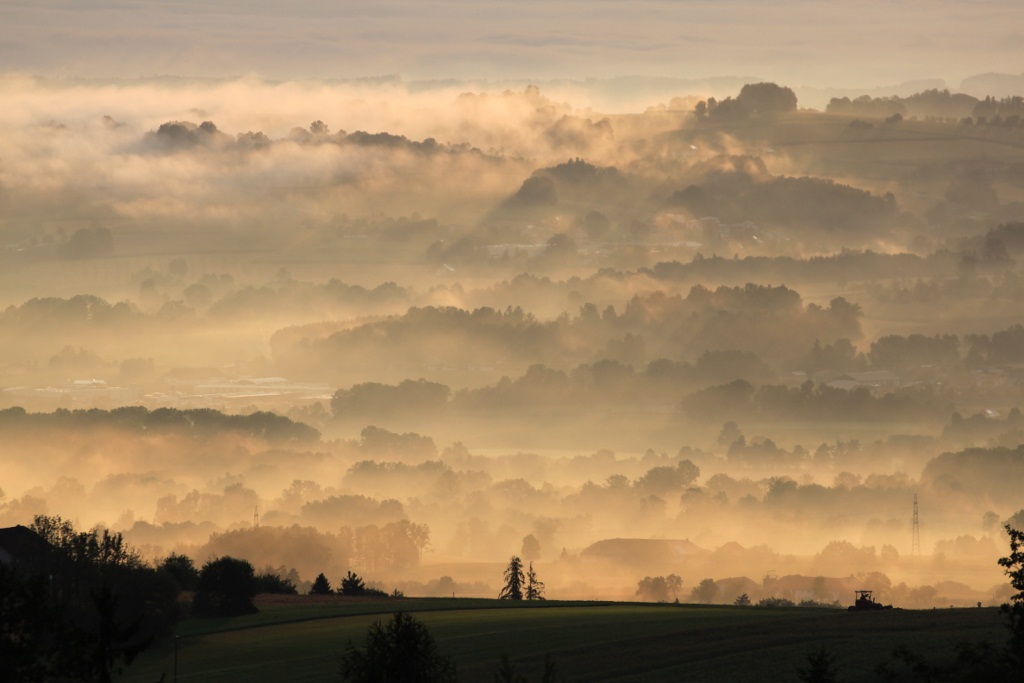 nebel im august