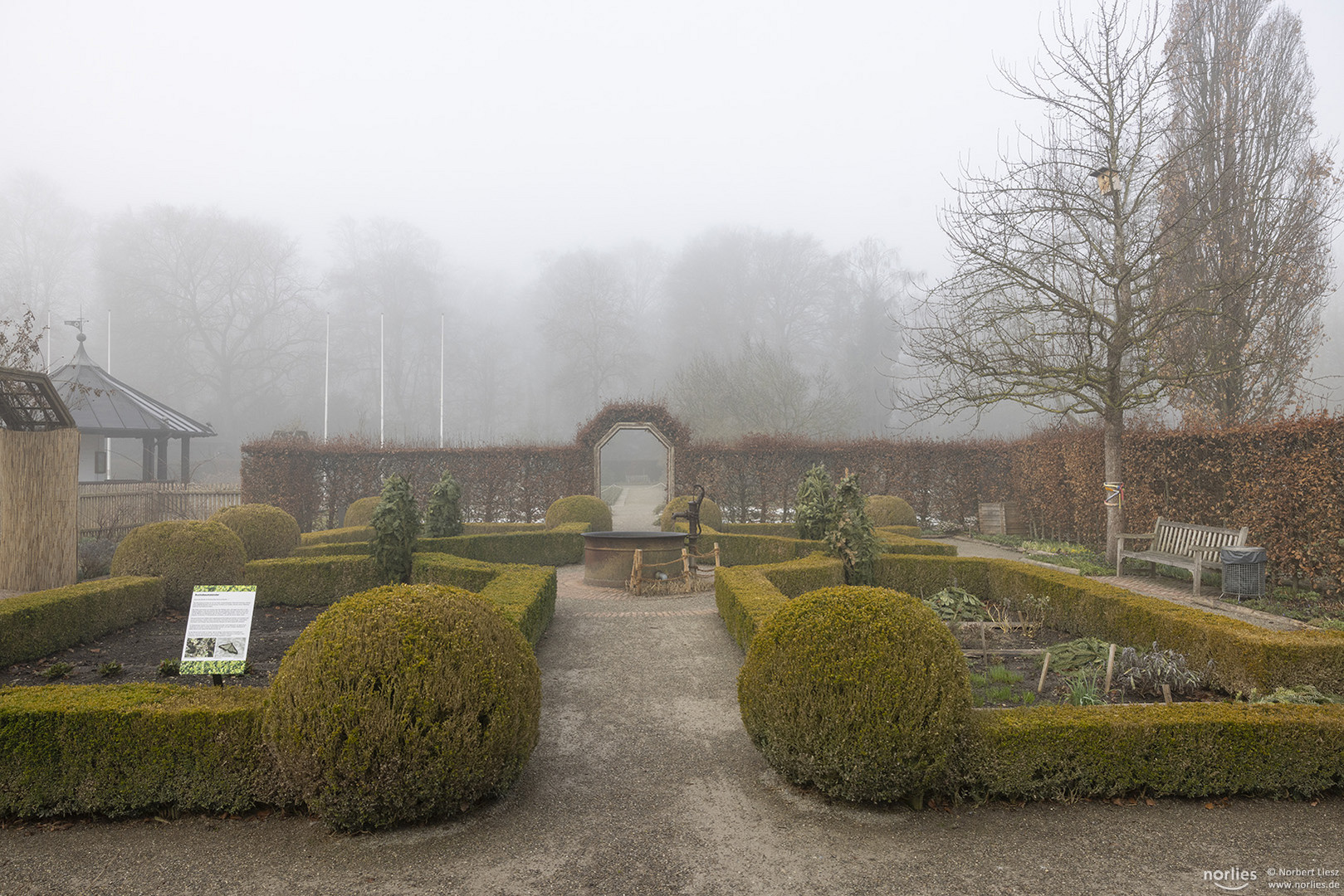 Nebel im Bauerngarten