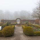Nebel im Bauerngarten