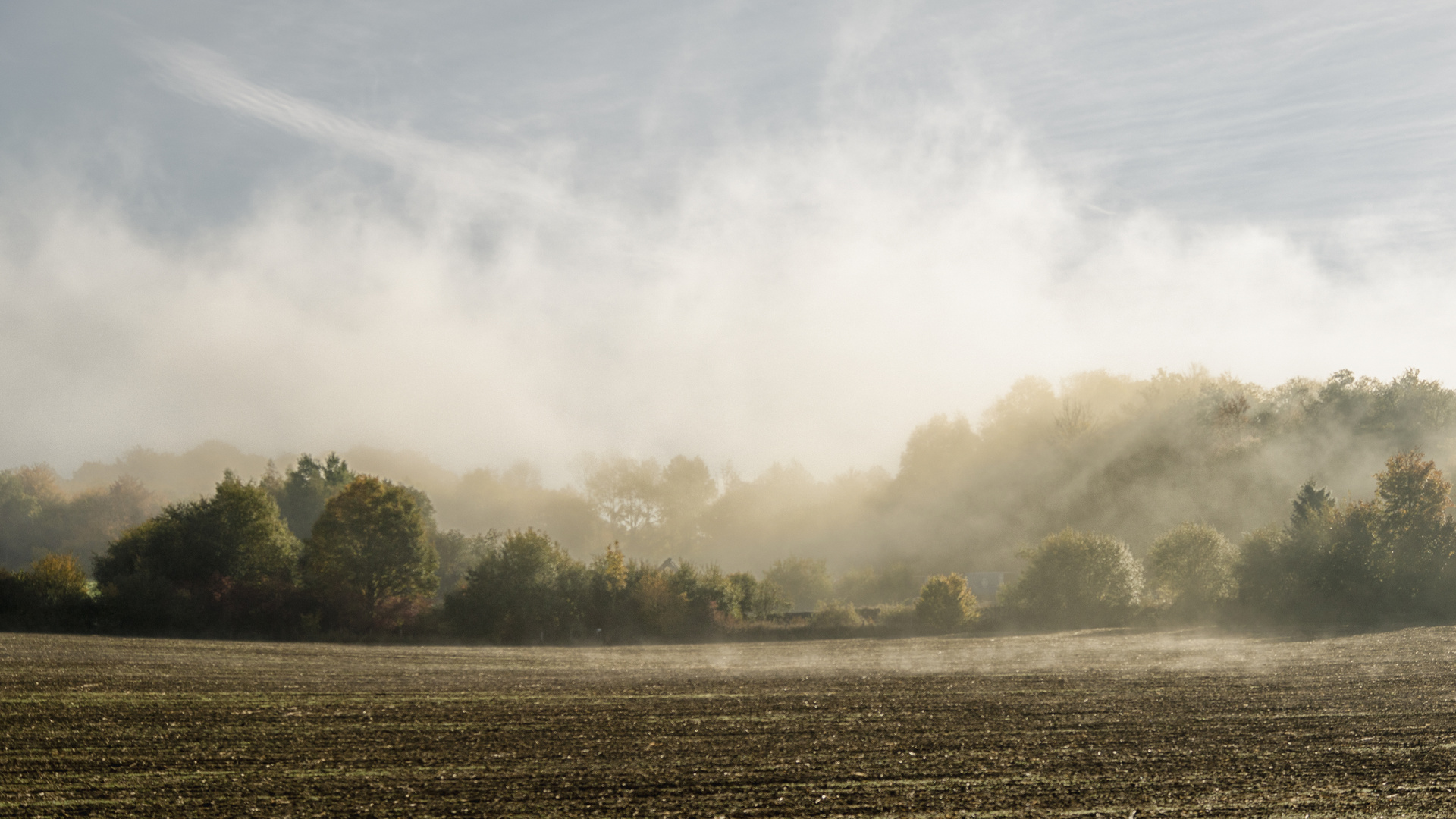 Nebel im Beckumer Feld