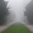 Nebel im Benrather Schlosspark