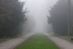 Nebel im Benrather Schlosspark