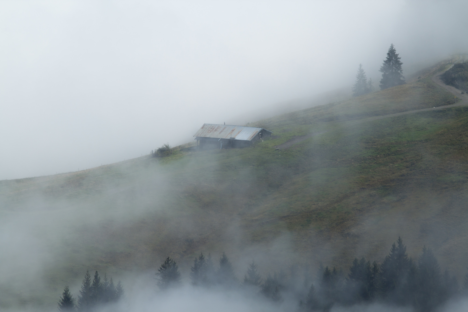 Nebel im Berg 2